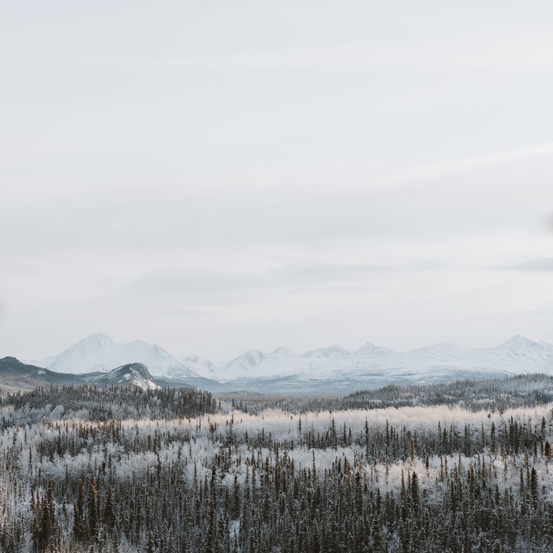 a cloudy sky above a snowy evergreen forest with mountains barely visible at the horizon, cloudy forest 4k