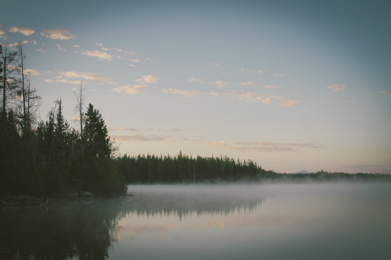 fog hovering above the clear surface of a lake on a quiet evening, haze over the lake 4k