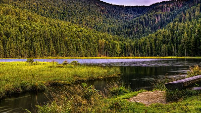 mountains, trees, river, grass, 4k
