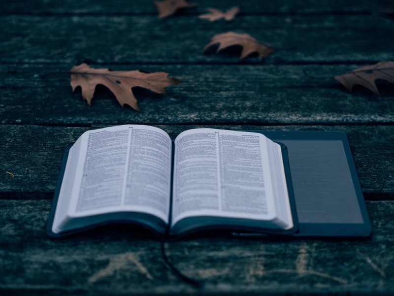 an open book on a wooden deck with leaves surrounding it, _open book wooden deck 4k