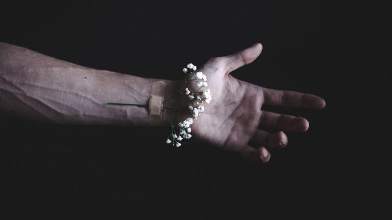 flower, hand, plaster, 4k