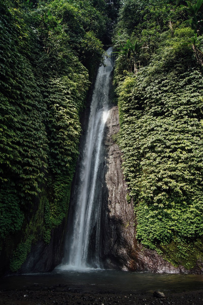 a tall waterfall tumbling down a steep rock face covered with green ivy, waterfall among ivy 4k