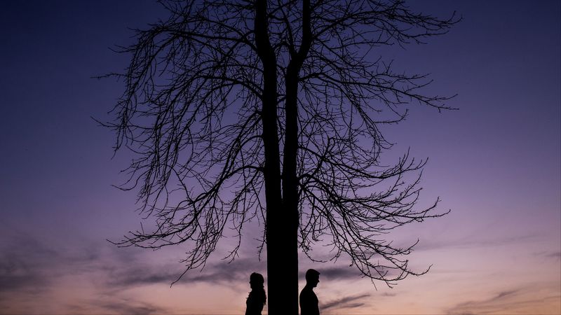 couple, silhouettes, tree, 4k