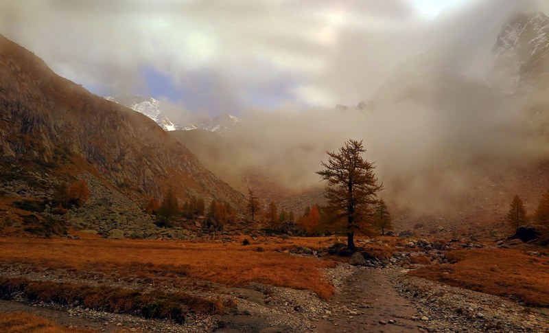rock tree outdoor and hill 4k