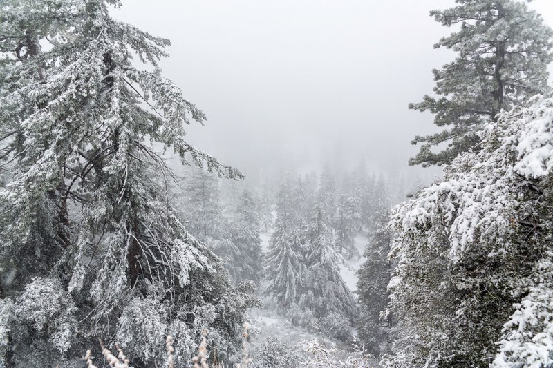 winter has come 4k