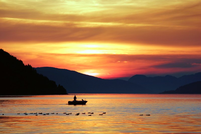 a small fishing boat sails across nordfjordeid river with a flock of ducks during sunset, nordfjordeid river sunset 4k