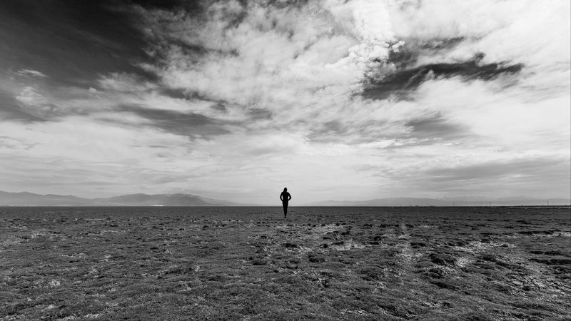 man, field, sky, bw, 4k