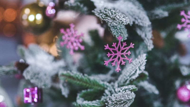 snowflake, christmas decoration, spruce, 4k