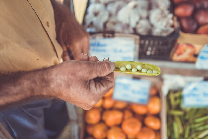 old hand holding an open pea pod at a vegetable stand, fresh pea pod 4k