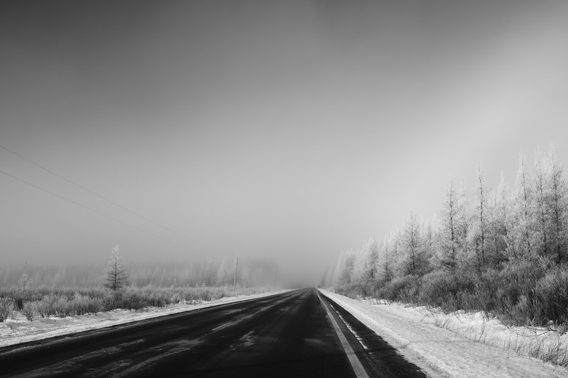 road snow tree and woodland 4k