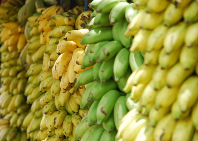 stacks of yellow and green bananas and raw plantains, bunches of bananas 4k