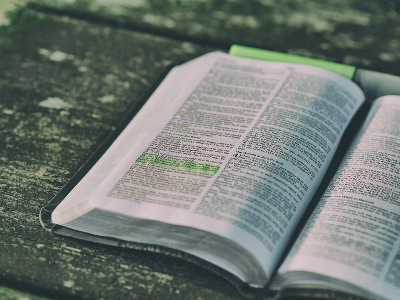 green highlighting over part of the text in an open book, _green highlight in book 4k