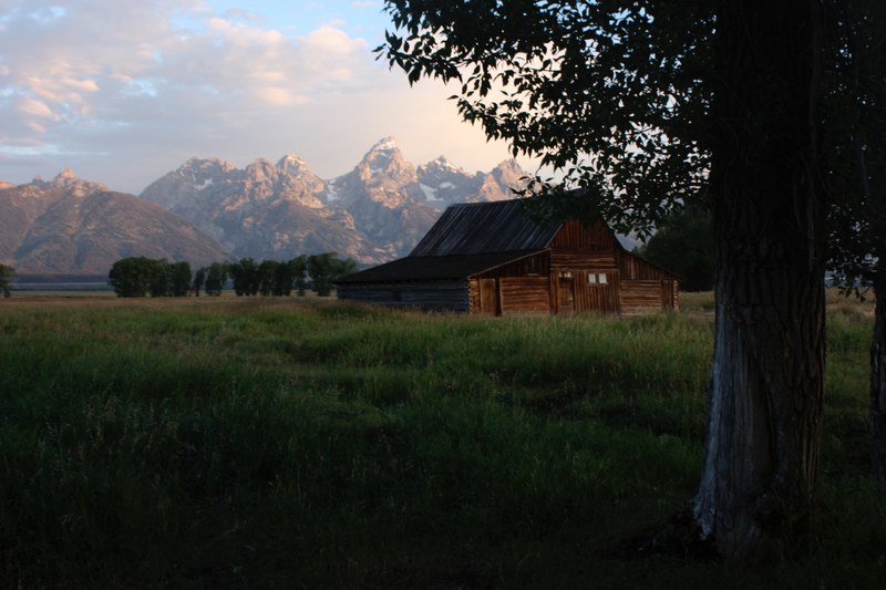 rustic cabin in a green field with a large tree in the foreground and spiked mountains in the background, rustic cabin in a field 4k