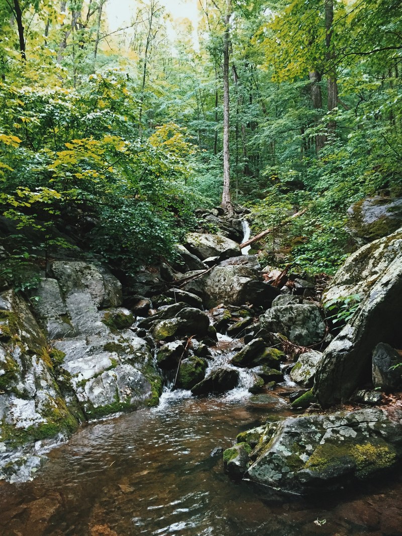 wilderness green nature and rock hd, 4k