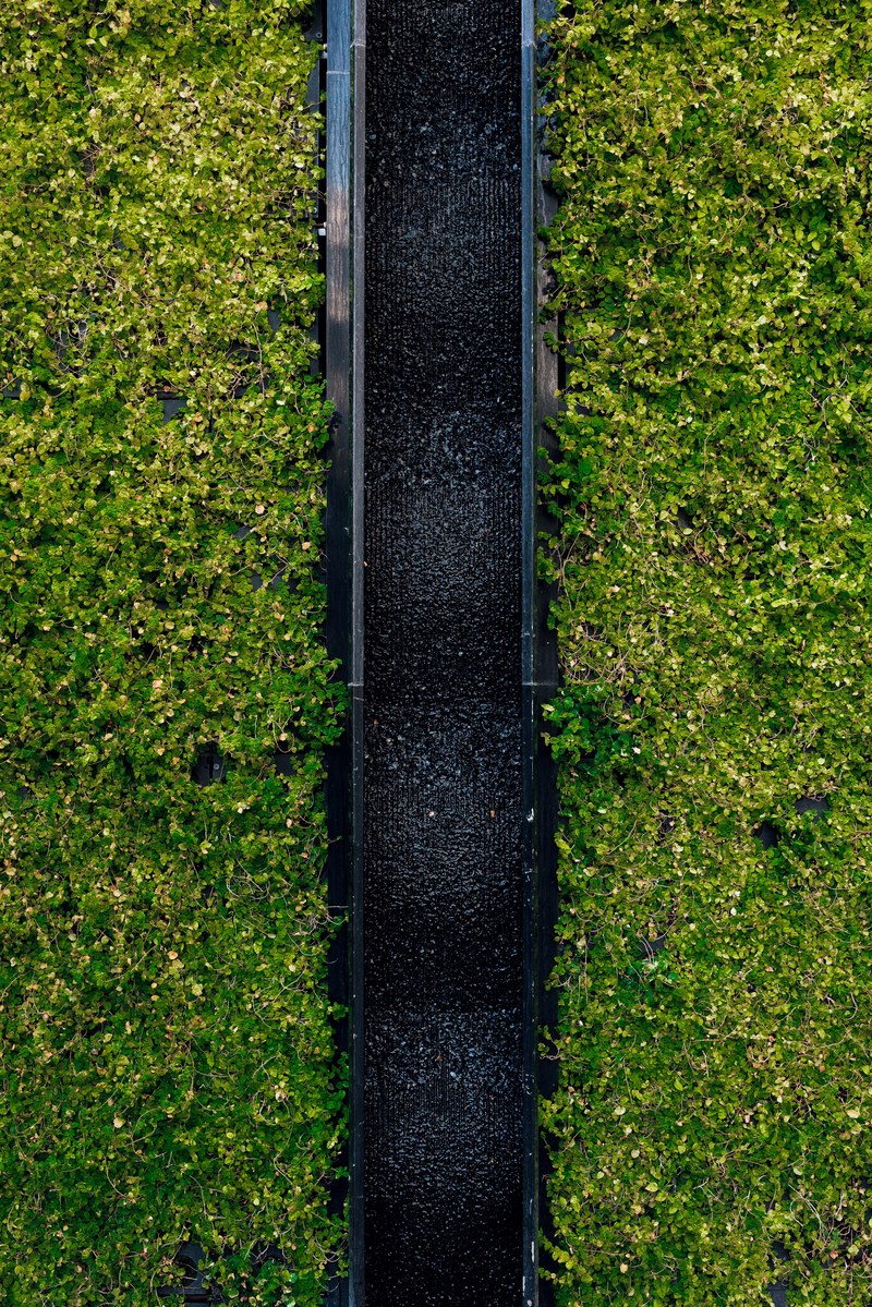 stripe 4k