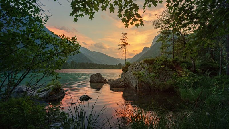 mountains, river, trees, stones, 4k