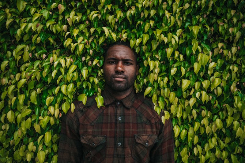 a man in a plaid shirt stands pressed against a green hedge, man in hedge 4k