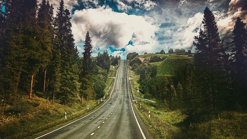 road, marking, rise, trees, summer, 4k