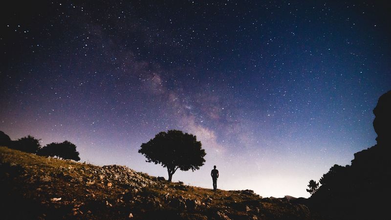 tree, starry sky, night, silhouette, 4k