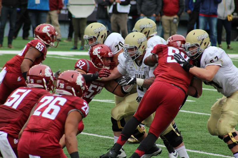 college cougar wsu and football 4k