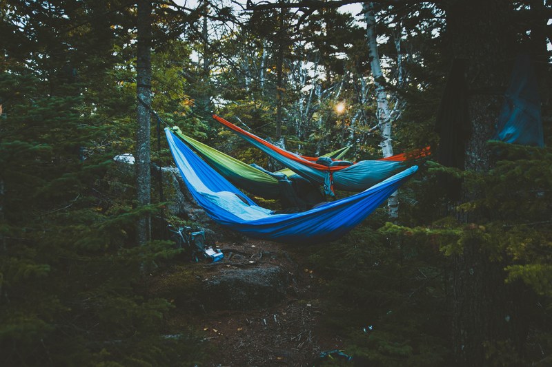 several hammocks hanging on trees in a campsite, campsite hammocks 4k