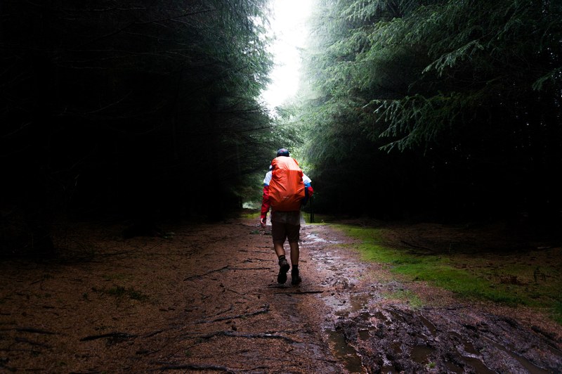 a hiker on a muddy tree lined path in scotland, hiker on a wet path 4k