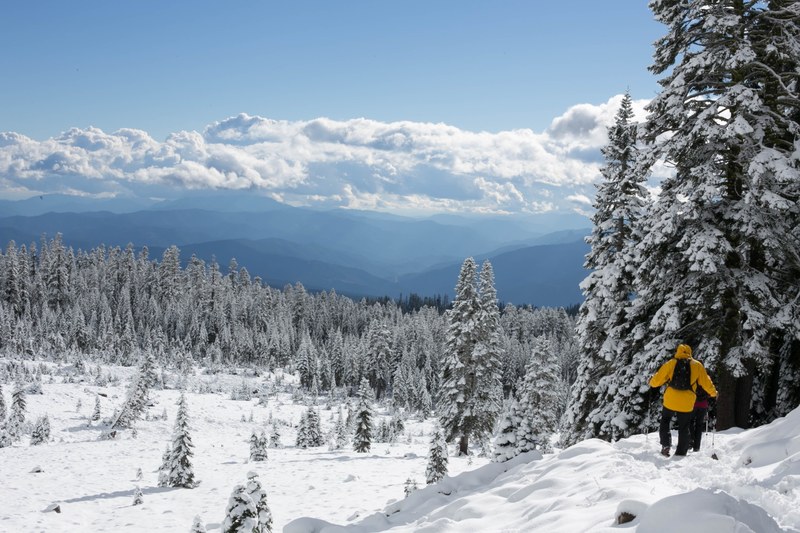 hiker walking on the frozen snow covered ground in the forest, hiking in the snow 4k