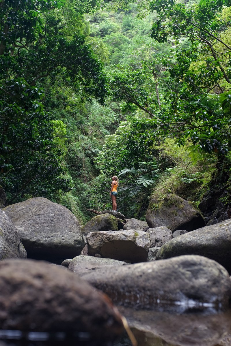 a woman standing alone on a bunch of stones and boulders in a forest in hauula, on a large rock in the woods 4k