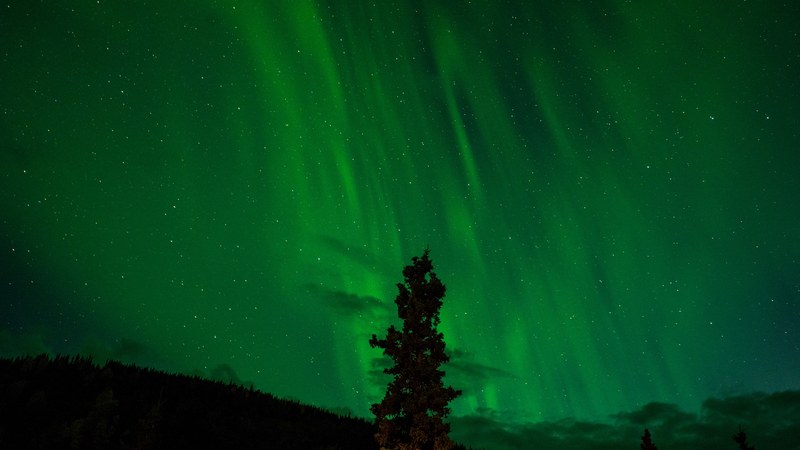 northern light night sky night and star 4k