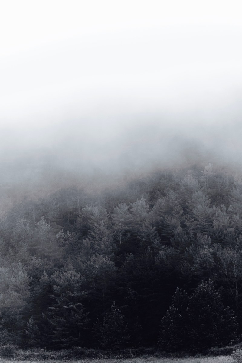 cover 4k