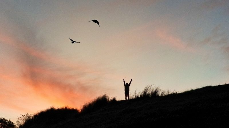 silhouette, freedom, month, sunset, 4k