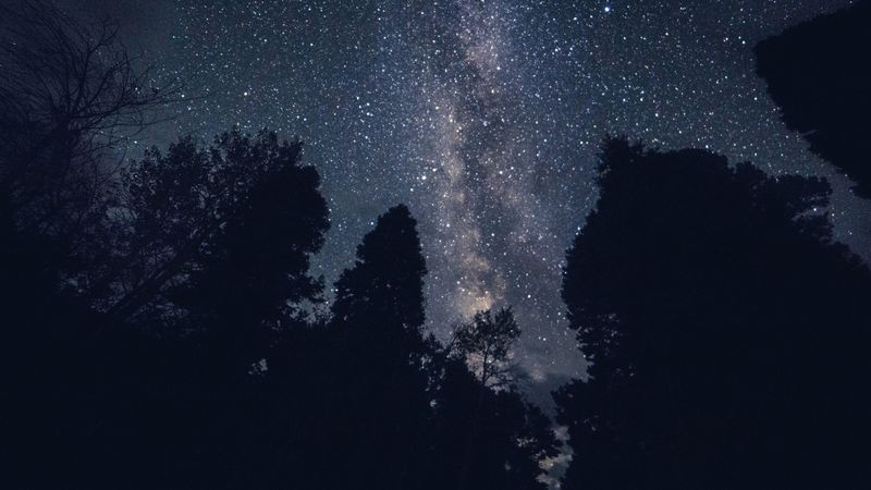 starry sky, night, stars, trees, 4k