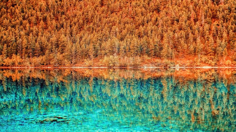 lake, trees, reflection, hdr, 4k