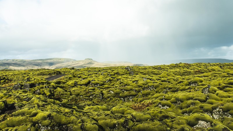 sun ray grassland grass and horizon 4k