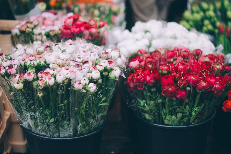 bouquets of red and white roses in separate buckets at the flower market, roses at the florists 4k