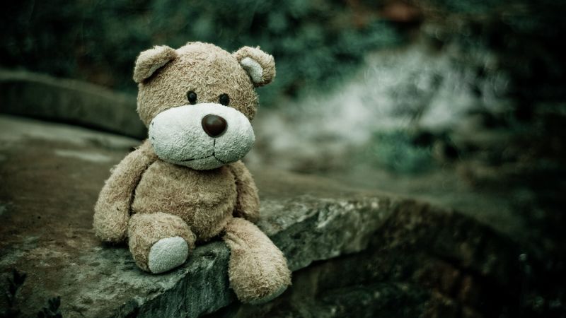 soft toy, teddy bear, bear, 4k