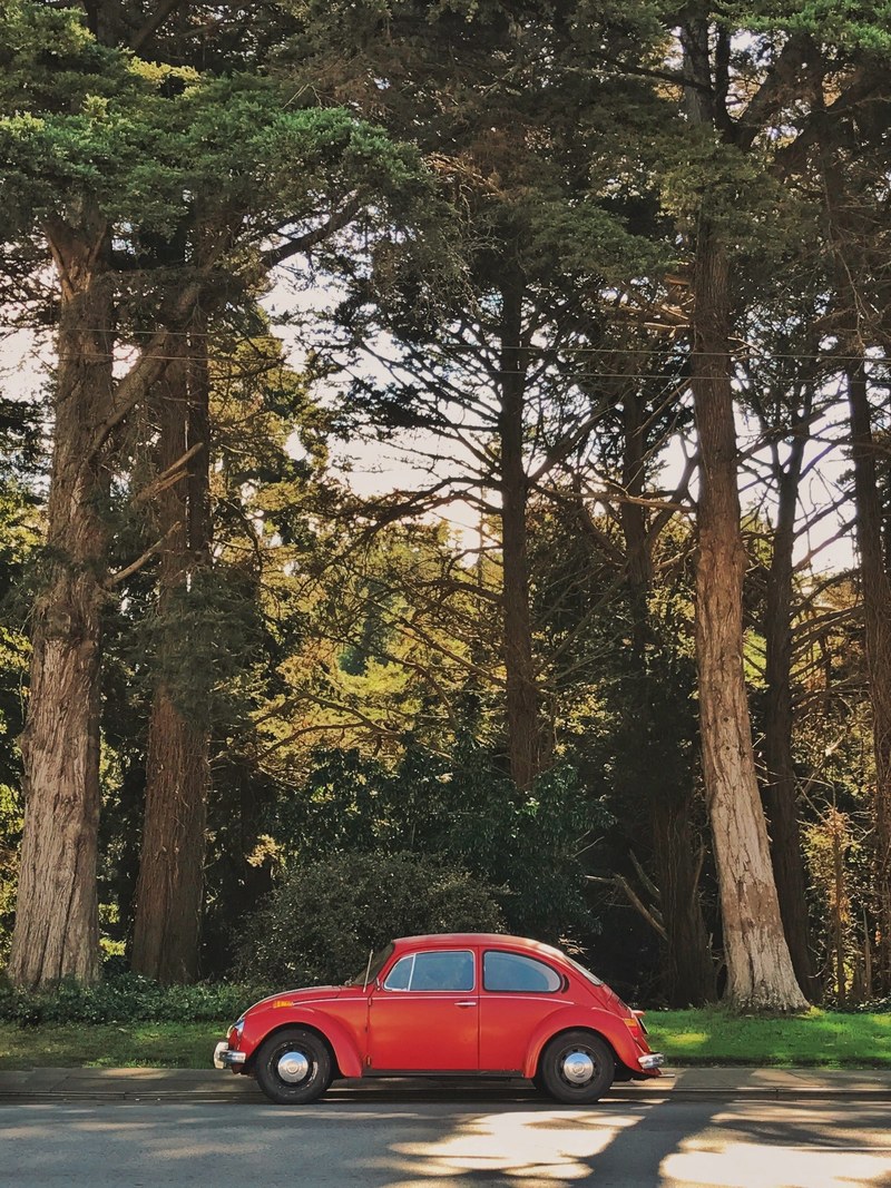 bug car san francisco and volkswagen hd, 4k