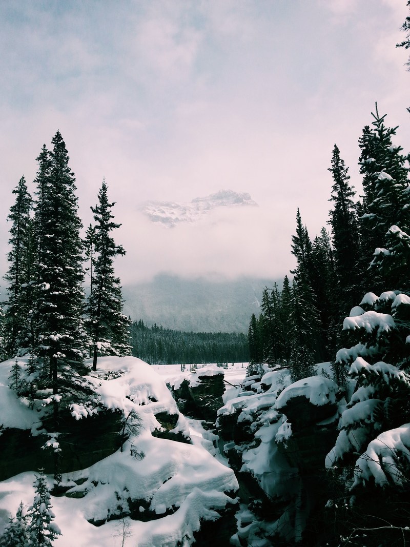 canada albertum and athabasca fall hd, 4k