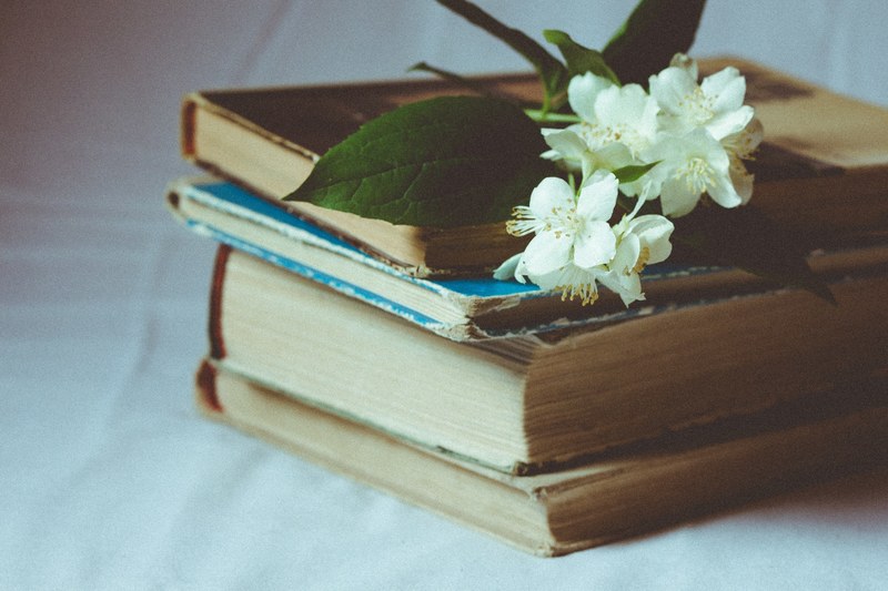 a stack of old antique books with a blossoming white flower, greatest treasure books_ 4k