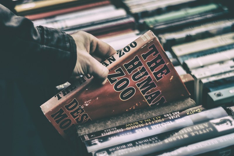 a person picking up the human zoo book at a store, buying books at a store 4k