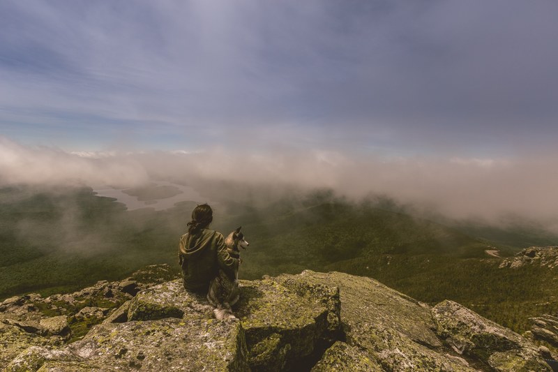 a dark haired woman seated on flat mossy rocks with her arm on the back of a trusty dog, hiking with a four legged friend 4k