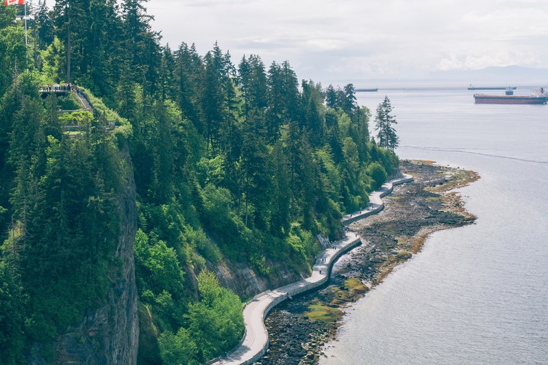 a wooded coast with people walking along the seawall and admiring the sea from an observation deck, tourists on the canadian coast 4k