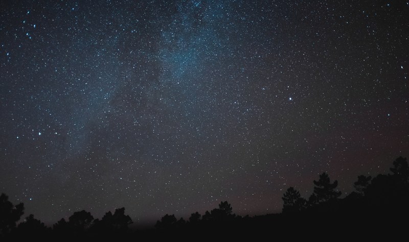 silhouette tree milky way and milkyway 4k