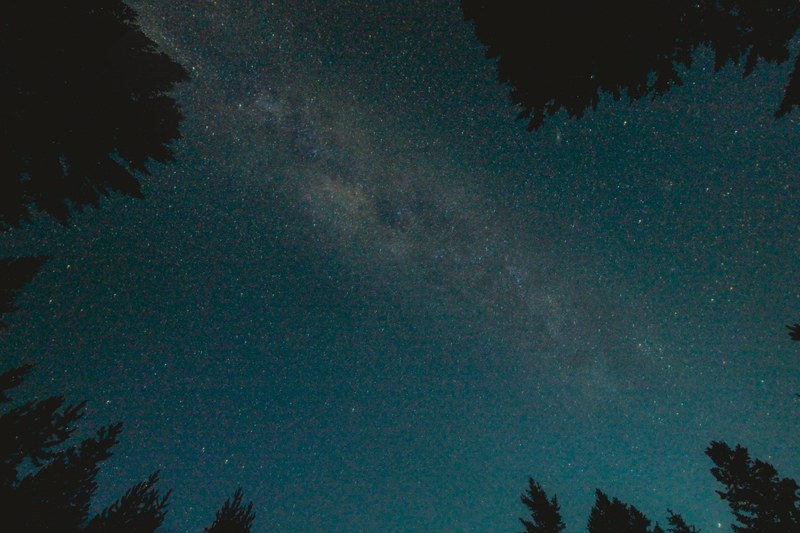 lost in the wilderness 4k