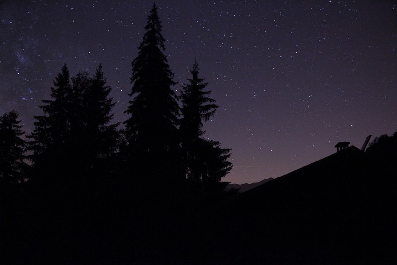 silhouette of pine trees next to a rooftop against the starry night sky, trees roof silhouette night 4k