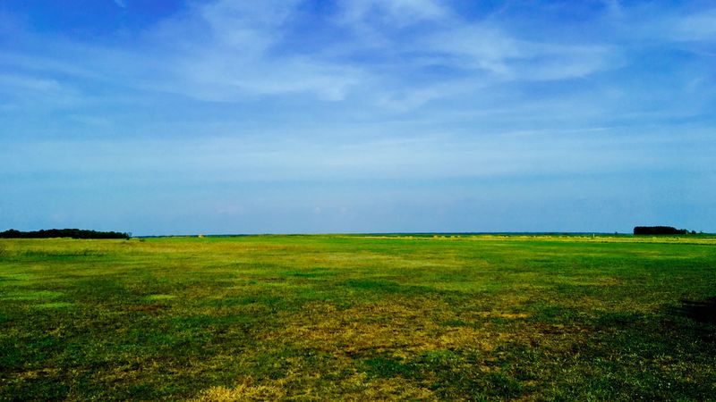 field, sky, grass, summer, 4k