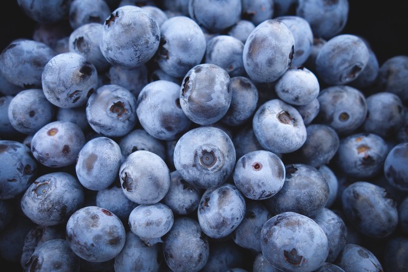 berry blueberry fruit and blue 4k