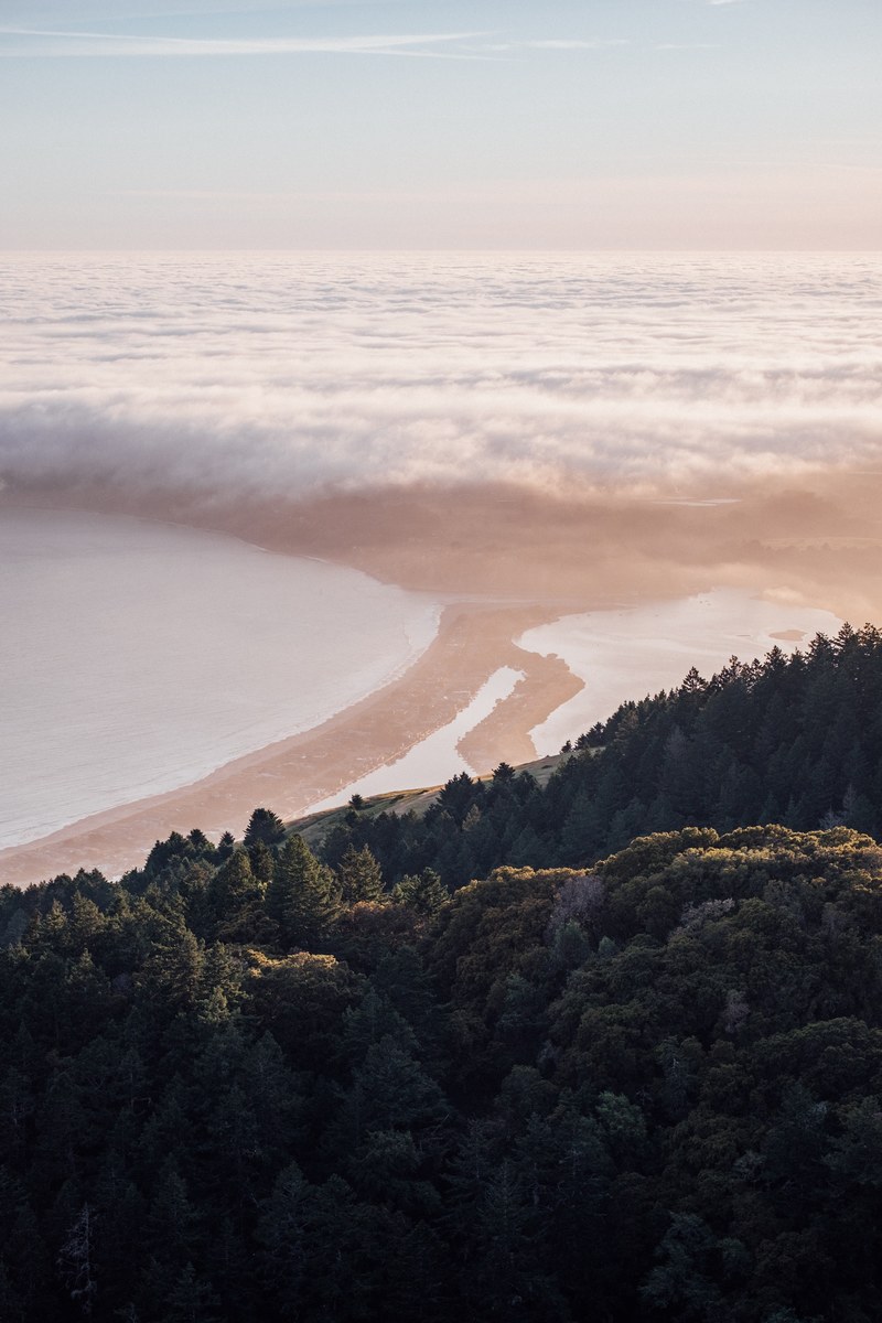 a sea of clouds over a peninsula near mount tam, head above the clouds 4k