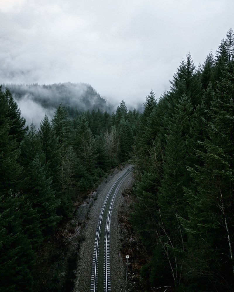 an aerial view of a railway track inside a forest with fog covering it in alexandra bridge, tracks in the woods 4k