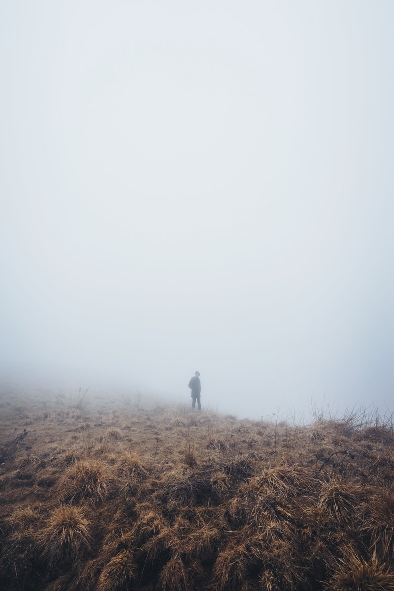 silhouette of hiker walking through desolate prairies on a foggy day, limbo 4k